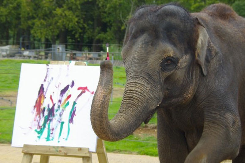 Elephant Art.jpg